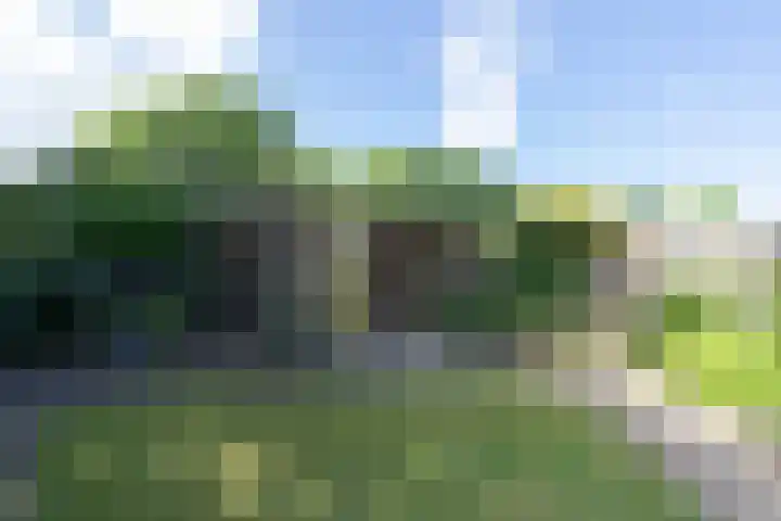 Hoofdweg 170 Westerlee thumbnail 40