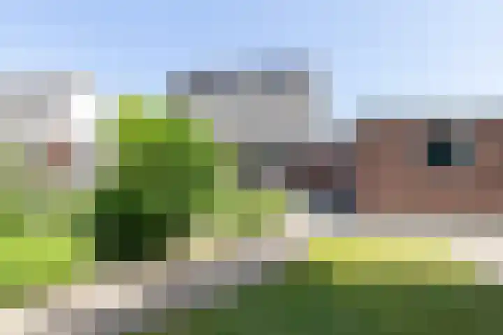Hoofdweg 170 Westerlee thumbnail 43