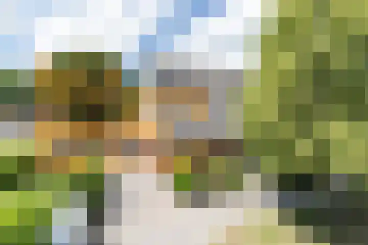 Hoofdweg 170 Westerlee thumbnail 5