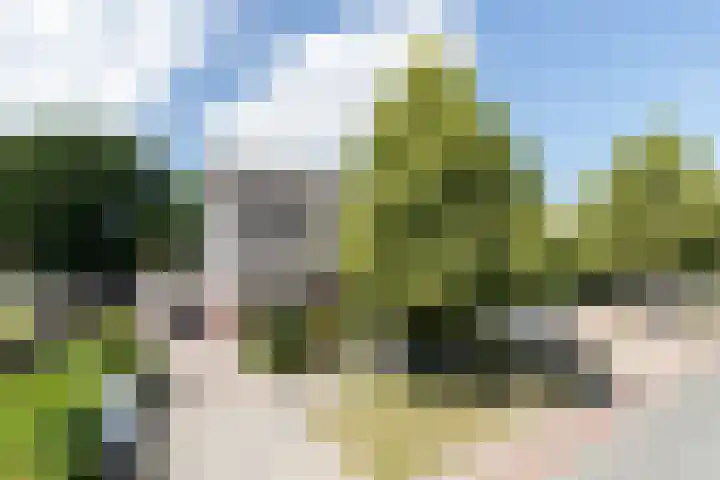 Hoofdweg 170 Westerlee thumbnail 52
