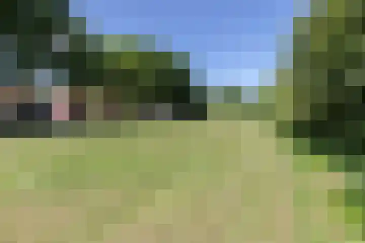 Hoofdweg 170 Westerlee thumbnail 53