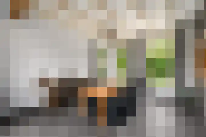 Hoofdweg 172 Oldeholtpade thumbnail 10