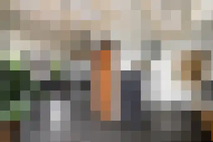 Hoofdweg 172 Oldeholtpade thumbnail 12
