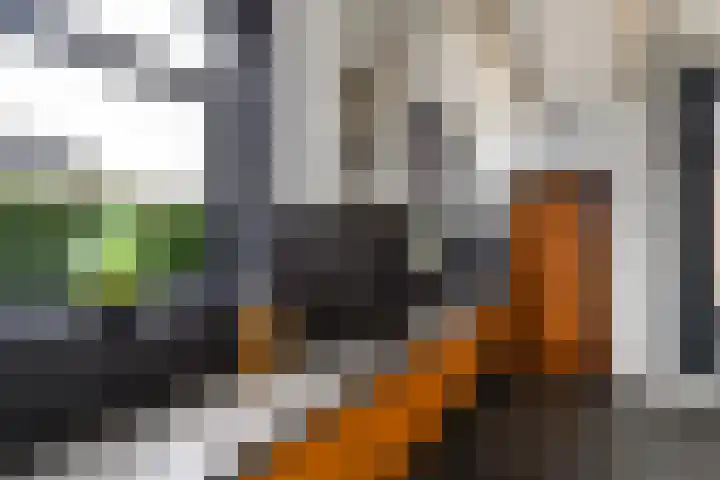 Hoofdweg 172 Oldeholtpade thumbnail 15