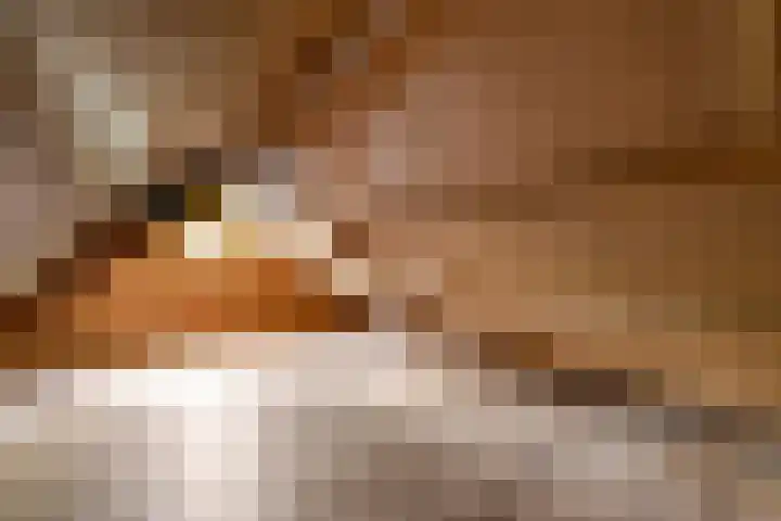 Hoofdweg 172 Oldeholtpade thumbnail 22