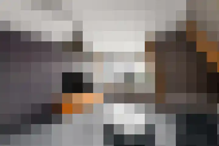 Hoofdweg 172 Oldeholtpade thumbnail 32