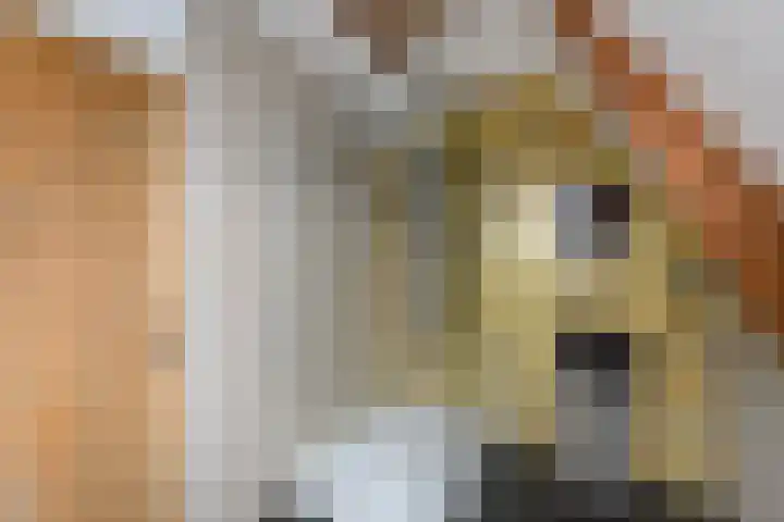 Hoofdweg 172 Oldeholtpade thumbnail 35