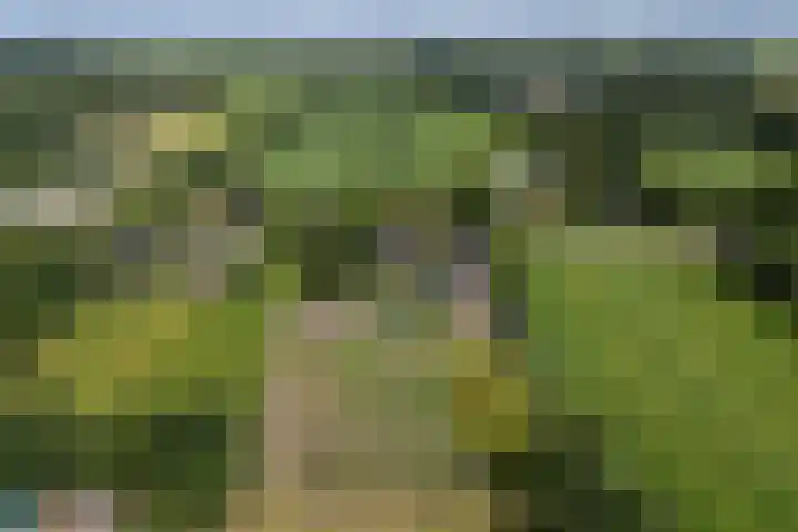 Hoofdweg 172 Oldeholtpade thumbnail 38