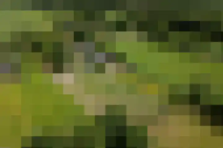 Hoofdweg 172 Oldeholtpade thumbnail 4