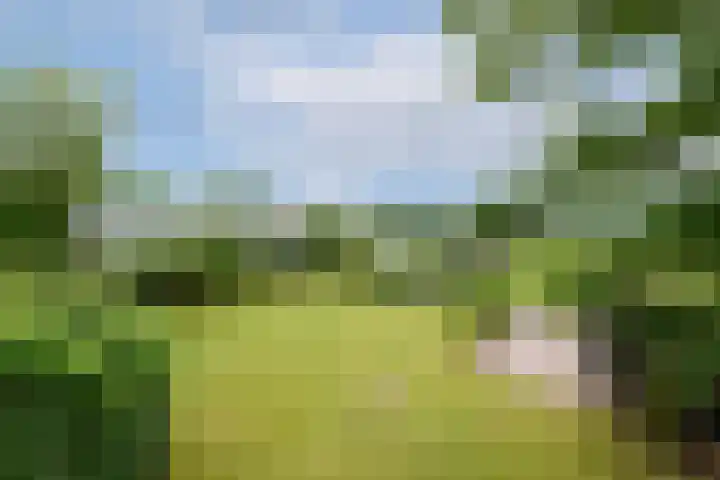 Hoofdweg 172 Oldeholtpade thumbnail 41