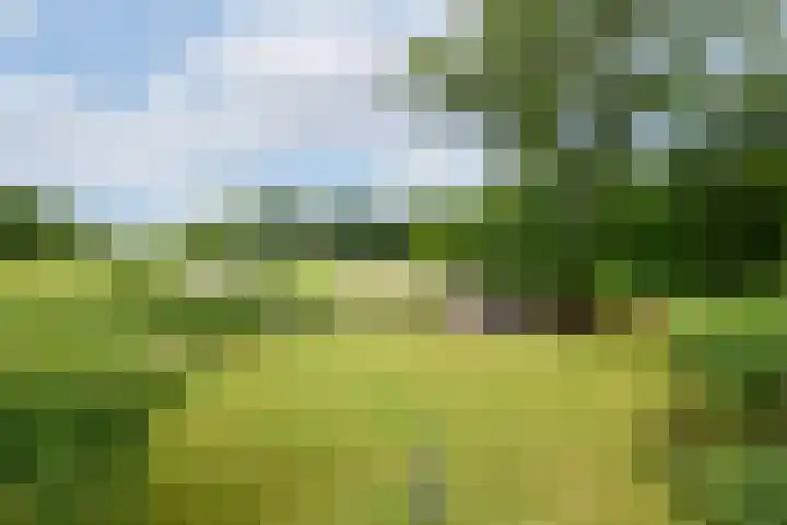 Hoofdweg 172 Oldeholtpade thumbnail 42