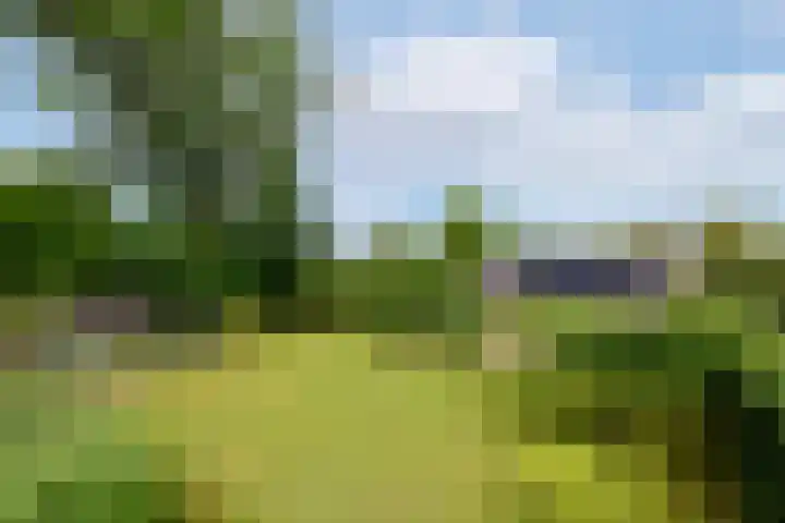 Hoofdweg 172 Oldeholtpade thumbnail 43