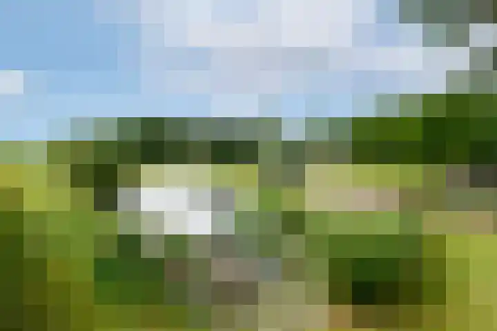 Hoofdweg 172 Oldeholtpade thumbnail 44