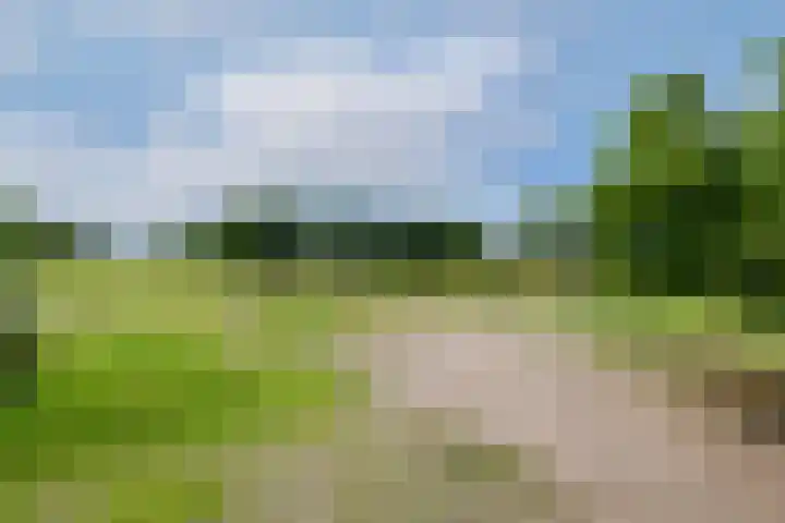 Hoofdweg 172 Oldeholtpade thumbnail 45