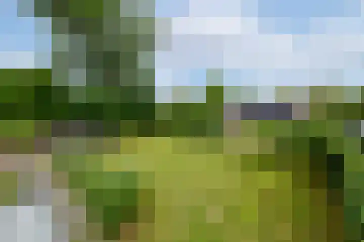 Hoofdweg 172 Oldeholtpade thumbnail 46