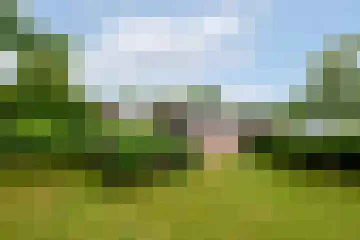 Hoofdweg 172 Oldeholtpade thumbnail 47