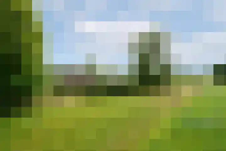 Hoofdweg 172 Oldeholtpade thumbnail 48