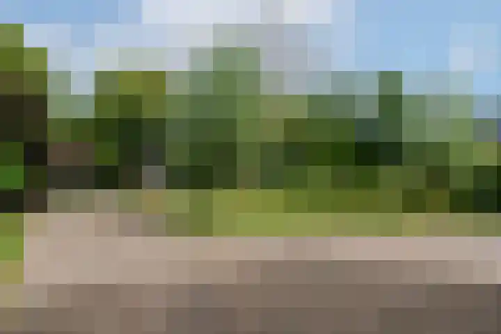 Hoofdweg 172 Oldeholtpade thumbnail 49