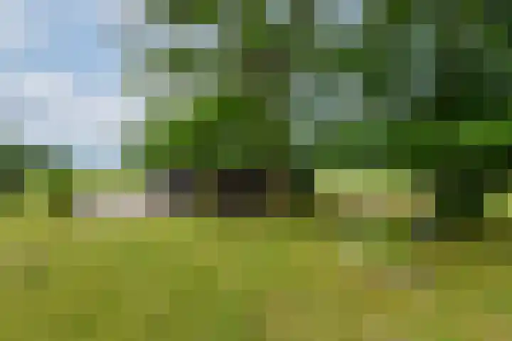 Hoofdweg 172 Oldeholtpade thumbnail 50