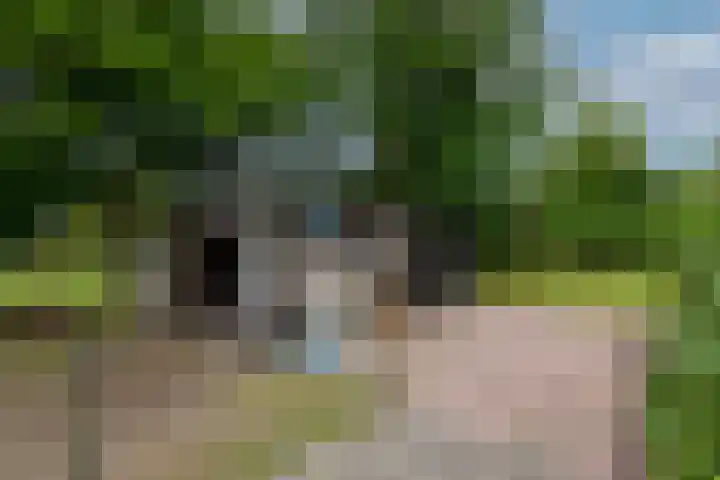 Hoofdweg 172 Oldeholtpade thumbnail 51