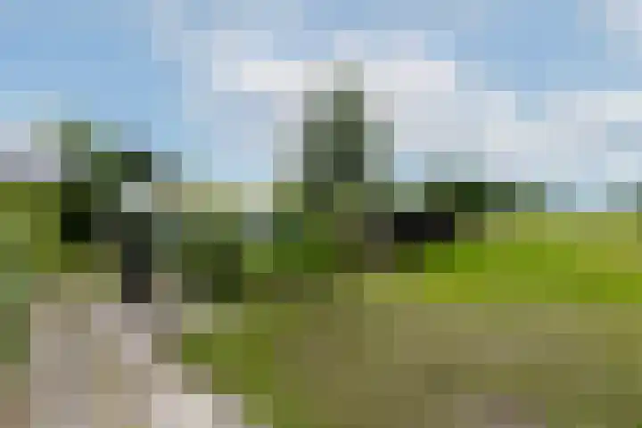 Hoofdweg 172 Oldeholtpade thumbnail 52