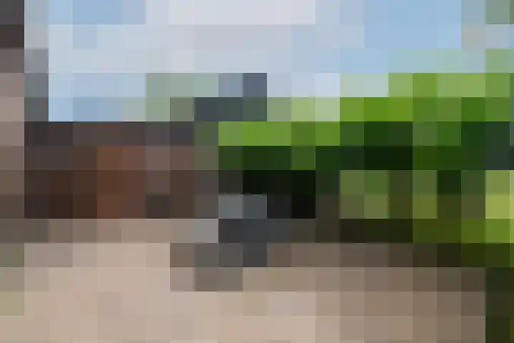 Hoofdweg 172 Oldeholtpade thumbnail 53