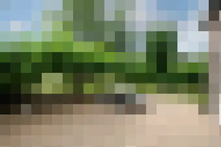 Hoofdweg 172 Oldeholtpade thumbnail 54