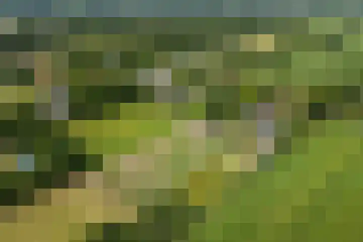 Hoofdweg 172 Oldeholtpade thumbnail 55