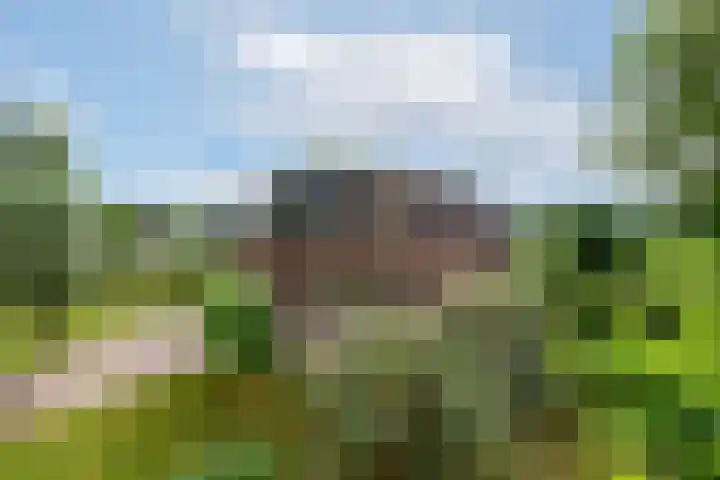 Hoofdweg 172 Oldeholtpade thumbnail 57