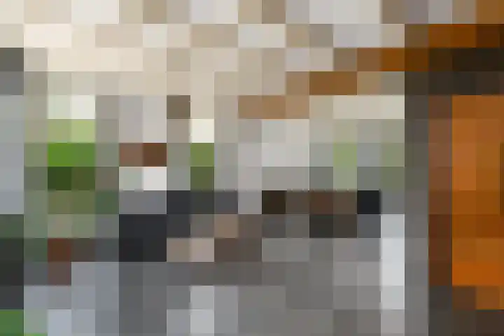 Hoofdweg 172 Oldeholtpade thumbnail 6