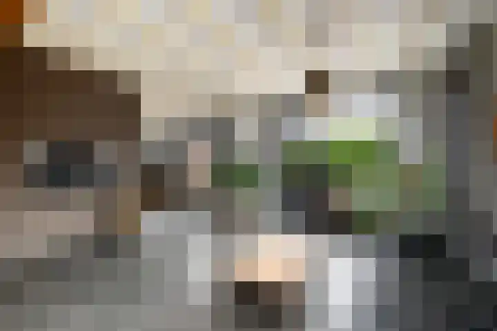 Hoofdweg 172 Oldeholtpade thumbnail 8