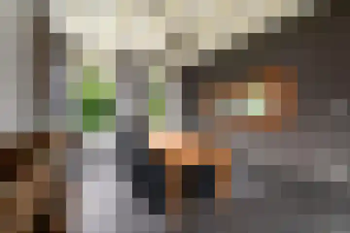 Hoofdweg 172 Oldeholtpade thumbnail 9