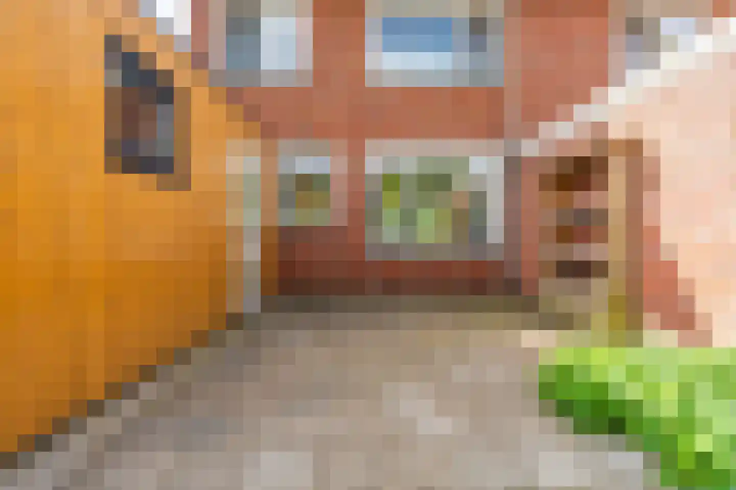 Hoofdweg 173 B Midwolda thumbnail 43
