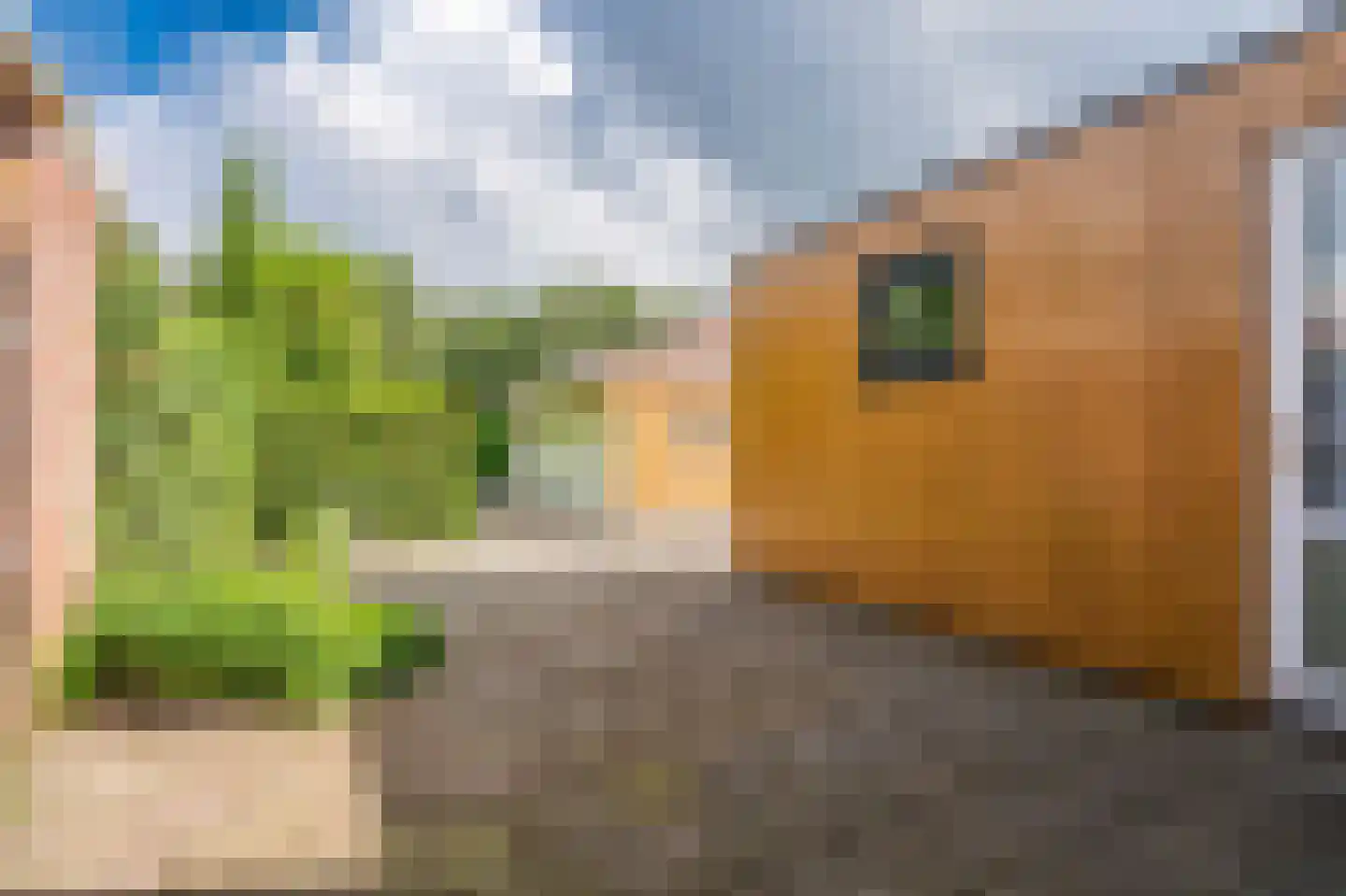 Hoofdweg 173 B Midwolda thumbnail 45
