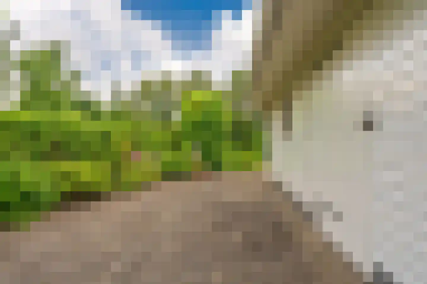 Hoofdweg 173 B Midwolda thumbnail 47