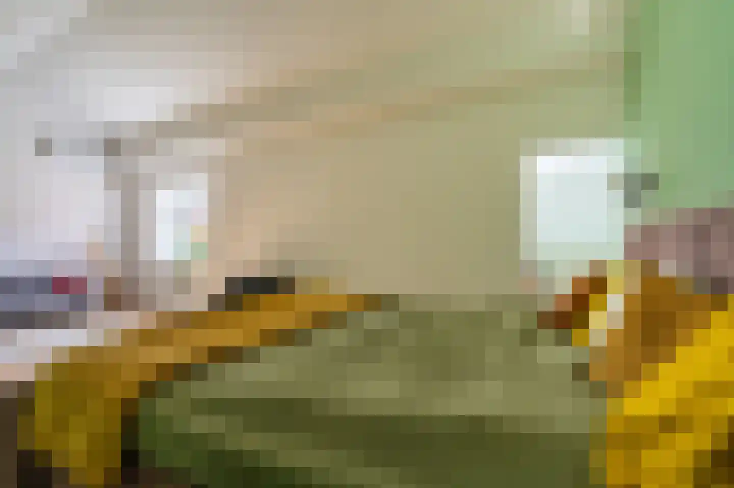 Hoofdweg 176 Finsterwolde thumbnail 67