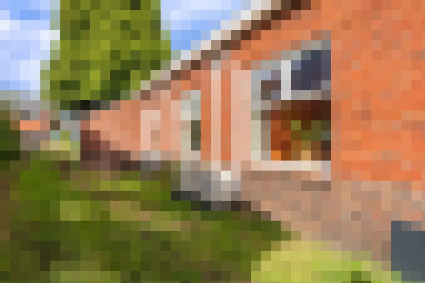 Hoofdweg 176 Finsterwolde thumbnail 86