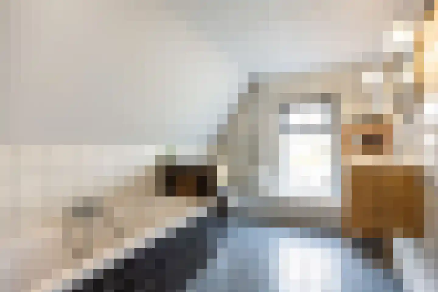 Hoofdweg 176 Schildwolde thumbnail 35