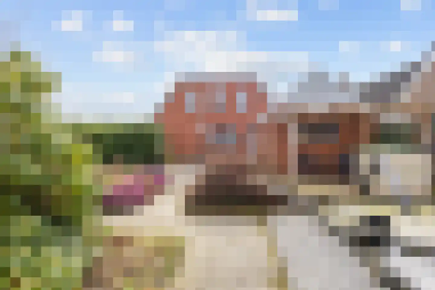 Hoofdweg 176 Schildwolde thumbnail 43
