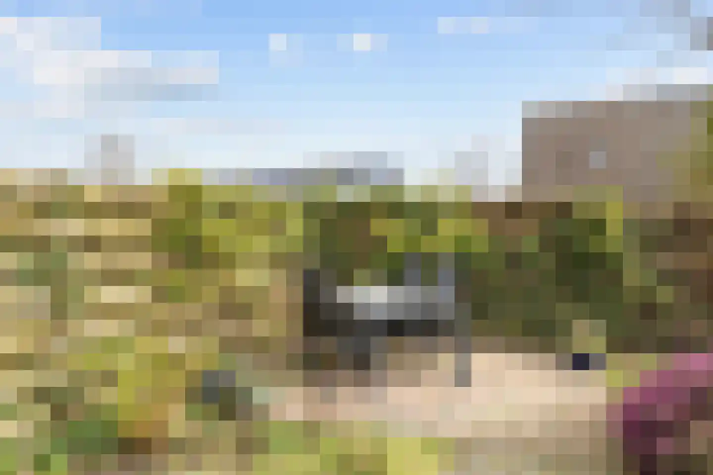 Hoofdweg 176 Schildwolde thumbnail 45