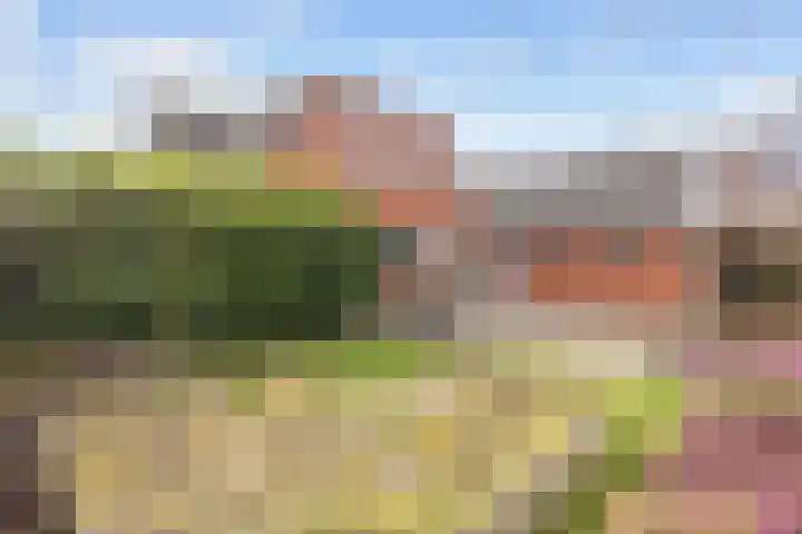 Hoofdweg 176 Schildwolde thumbnail 47