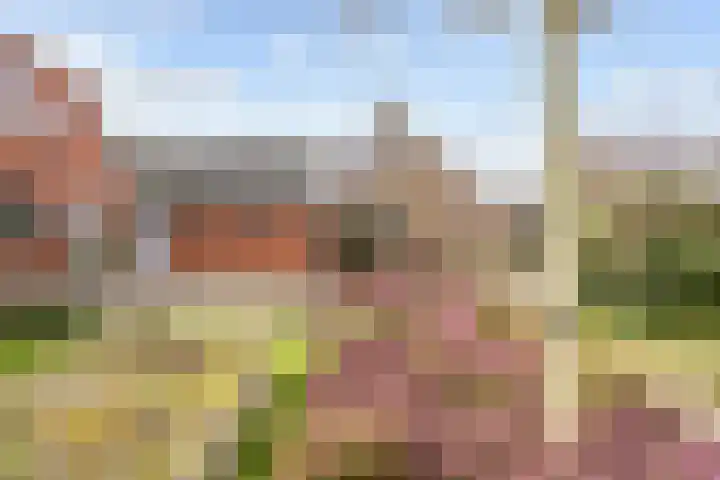 Hoofdweg 176 Schildwolde thumbnail 48