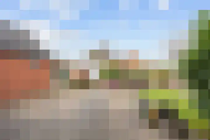 Hoofdweg 176 Schildwolde thumbnail 49
