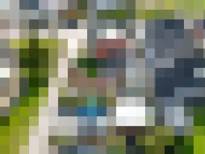 Hoofdweg 176 Schildwolde thumbnail 59
