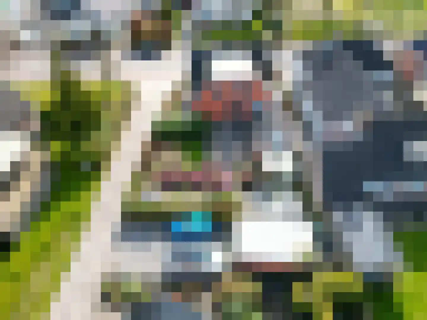 Hoofdweg 176 Schildwolde thumbnail 59