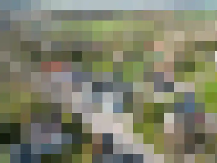 Hoofdweg 176 Schildwolde thumbnail 65