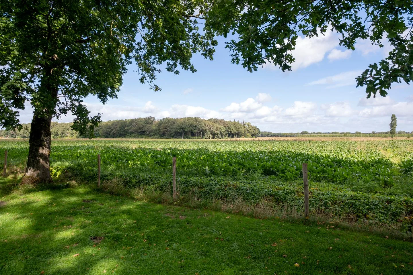 Hoofdweg 18 Veenhuizen thumbnail 66