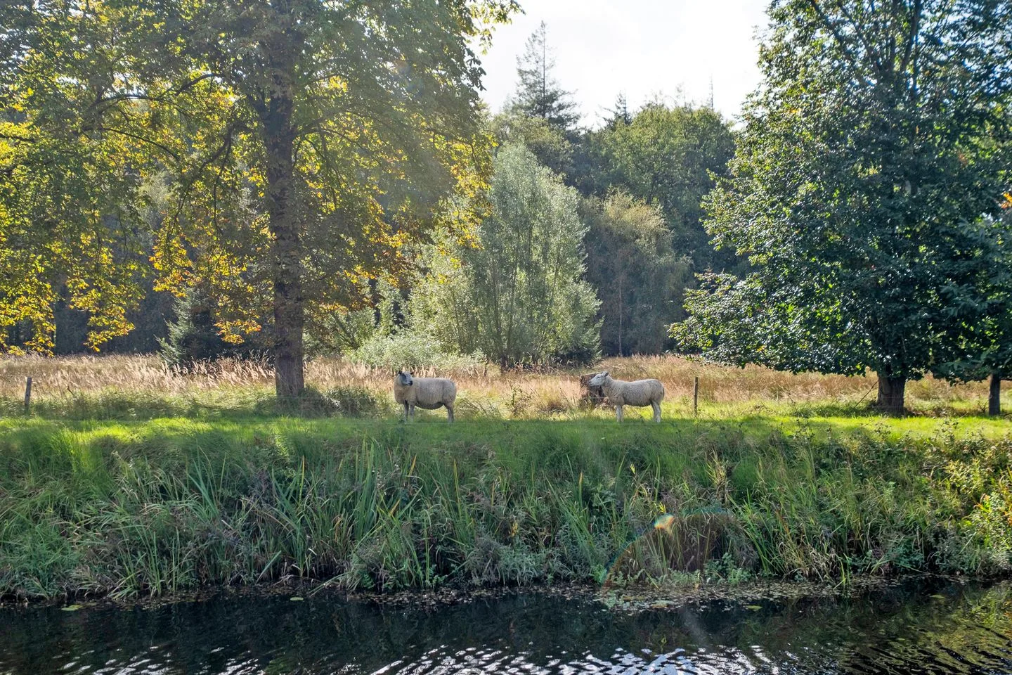Hoofdweg 18 Veenhuizen thumbnail 79