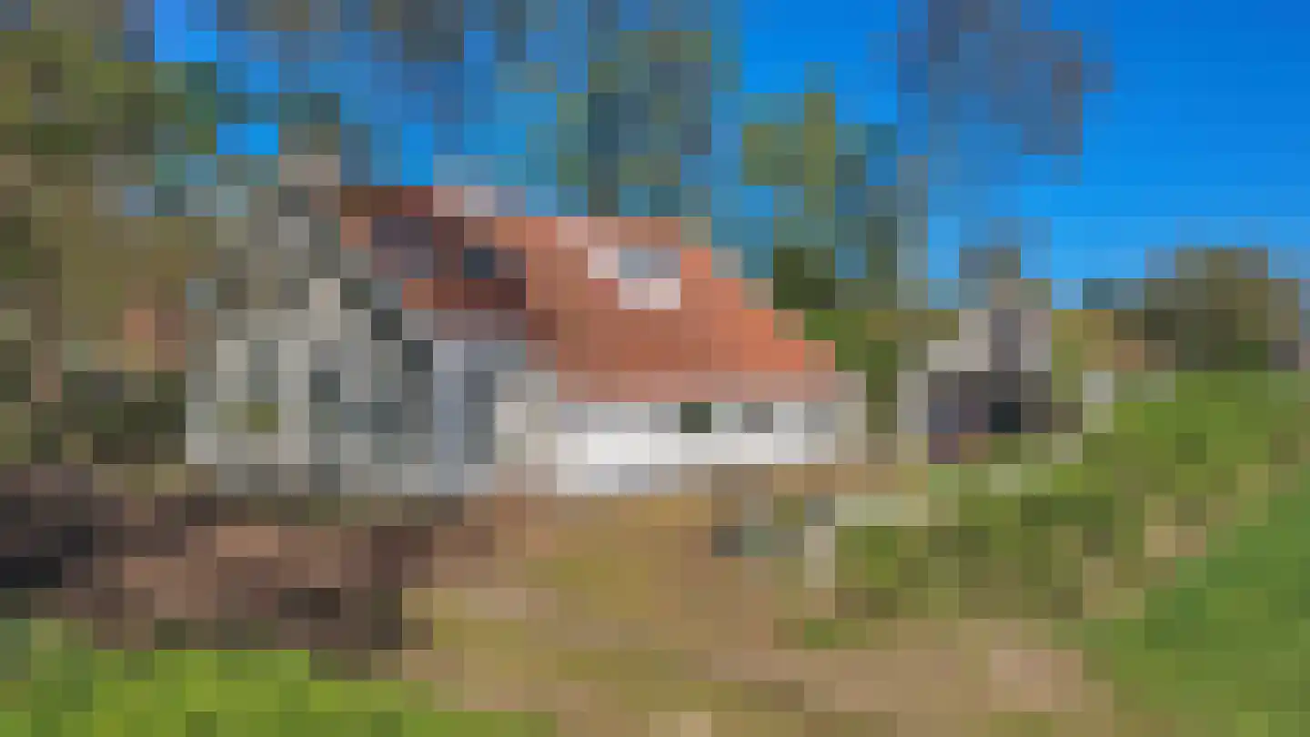 Hoofdweg 180 Bellingwolde thumbnail 11