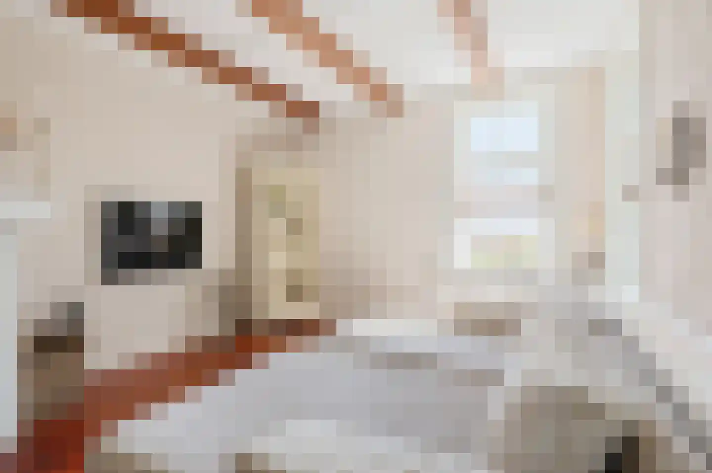 Hoofdweg 180 Bellingwolde thumbnail 21